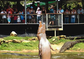 Crocodylus Park - Getaway Accommodation 2