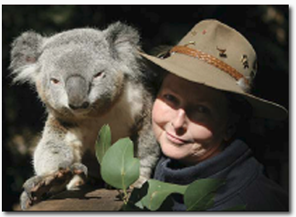 Koala Park Sanctuary - Getaway Accommodation 2