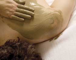 Alkaline Spa & Clinic - Getaway Accommodation 2