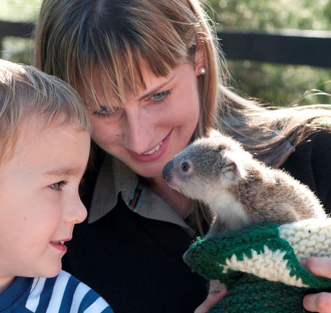 Australian Reptile Park - Getaway Accommodation 1