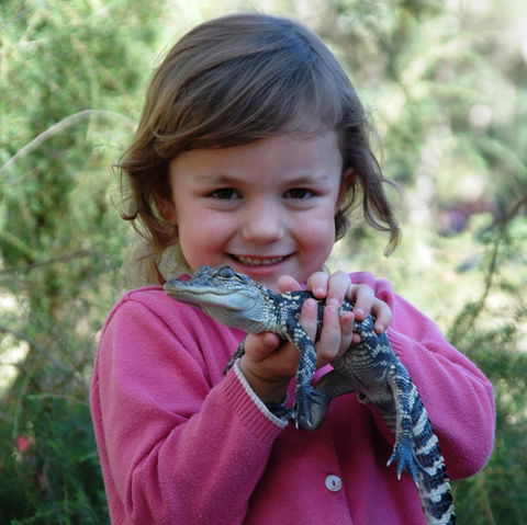 Australian Reptile Park - Getaway Accommodation 2