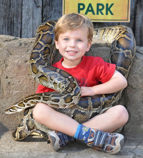 Australian Reptile Park - Getaway Accommodation 3