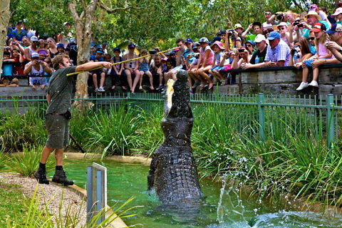Australian Reptile Park - Getaway Accommodation 4