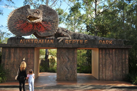 Australian Reptile Park - Getaway Accommodation 5