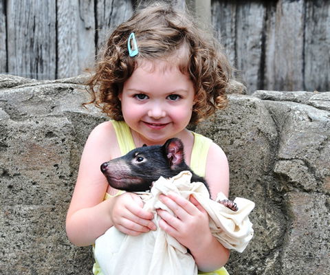 Australian Reptile Park - Getaway Accommodation 8