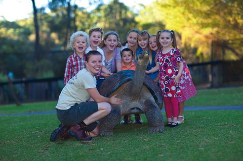 Australian Reptile Park - Getaway Accommodation 11