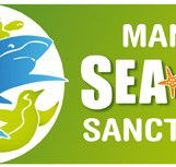 Manly SEA LIFE Sanctuary - Getaway Accommodation