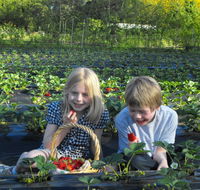 Blue Hills Berries  Cherries - Getaway Accommodation