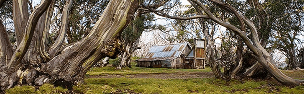 High Country Scenic Tours - Getaway Accommodation