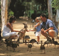 Billabong Sanctuary - Getaway Accommodation