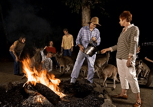 Cairns Night Zoo - Getaway Accommodation