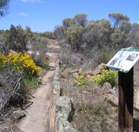 Christmas Rock Walk - Getaway Accommodation