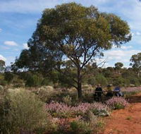 Karlkurla Bushland Park - Getaway Accommodation