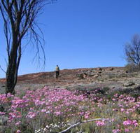 Talgomine Reserve - Getaway Accommodation