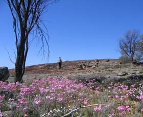 Talgomine Reserve - Getaway Accommodation 0