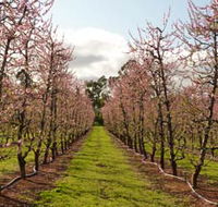 Raeburn Orchards - Getaway Accommodation