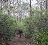 Margaret River Rails Trail - Getaway Accommodation