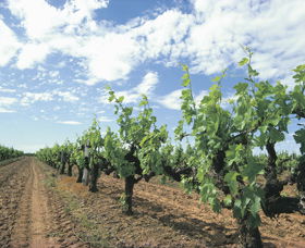 Karridale WA Getaway Accommodation