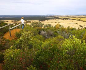Archer Drive Scenic Drive And Lookout - Getaway Accommodation 0