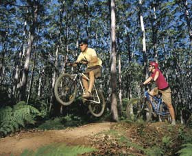 Leeuwin-Naturaliste National Park - Cowaramup - Getaway Accommodation 0