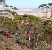 Mount Matilda Walk Trail Wongan Hills - Getaway Accommodation