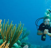 Coastal Water Dive - Getaway Accommodation