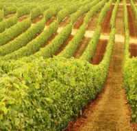 Cullen Wines - Getaway Accommodation