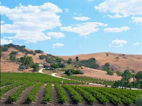 Bethany Wines - Getaway Accommodation 0