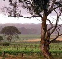 Yangarra Estate Vineyard - Getaway Accommodation