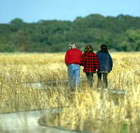 Onkaparinga River Recreation Park - Getaway Accommodation