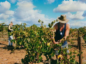 Torbreck Vintners - Getaway Accommodation 0