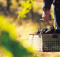 Burge Family Winemakers - Getaway Accommodation