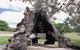 The Herbig Family Tree - thumb 0