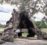 The Herbig Family Tree - Getaway Accommodation