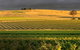 Kellermeister Wines - thumb 0