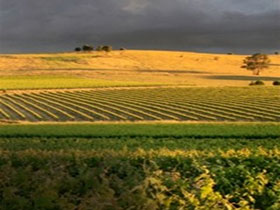 Kellermeister Wines - Getaway Accommodation 0