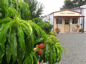 Gully Gardens - Getaway Accommodation 0
