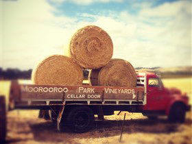Moorooroo Park Vineyards - Getaway Accommodation 0
