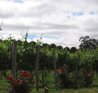 Manyara Vineyard - Getaway Accommodation