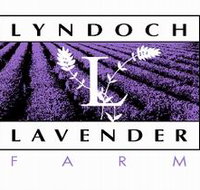 Lyndoch Lavender Farm and Cafe - Getaway Accommodation