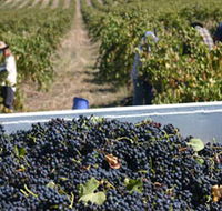 Rolf Binder Wines - Getaway Accommodation