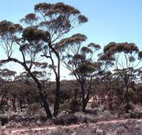 Clements Gap Conservation Park - Getaway Accommodation