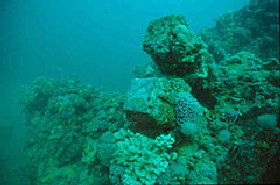 Adelaide's Underwater Heritage Trail - Getaway Accommodation 0