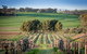 Heritage Wines - thumb 1