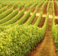 Schild Estate Wines - Getaway Accommodation