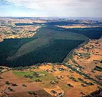 Mount Crawford Forest Reserve - Getaway Accommodation