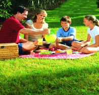 Bruny Island Berry Farm - Getaway Accommodation