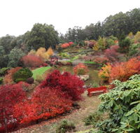 Emu Valley Rhododendron Garden - Getaway Accommodation