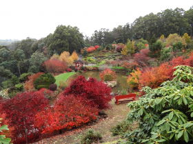Emu Valley Rhododendron Garden - Getaway Accommodation 0