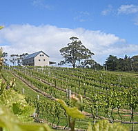 Bruny Island Premium Wines Bar and Grill - Getaway Accommodation